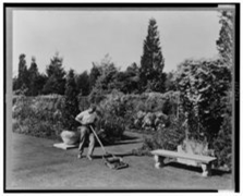 cours des métaux